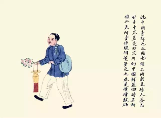 算八字挂槟榔