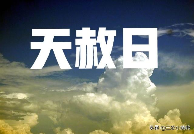 农历2022年十月初九生辰八字