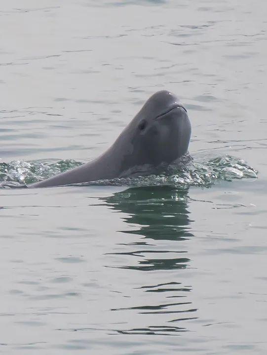 测命运免费测试瓦