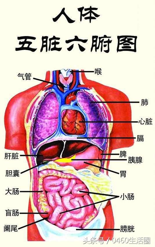 之开头八字成语