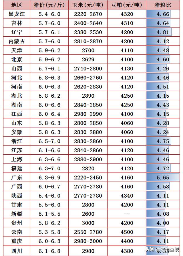 免费预测本年运势