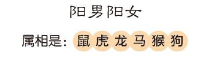 八字算命排大运每个字代表什么