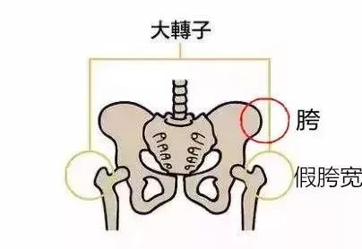 扭八字跨减肥