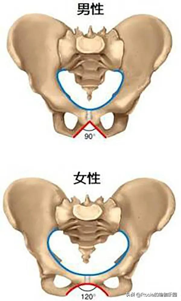 铁路八字墙体积计算软件