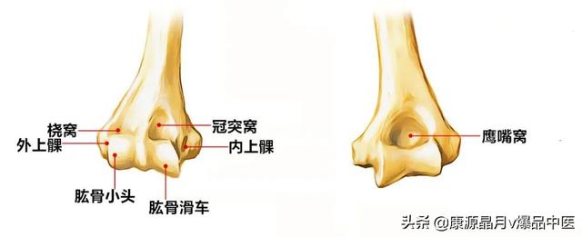 免费算命称骨论命周易骨格骨相