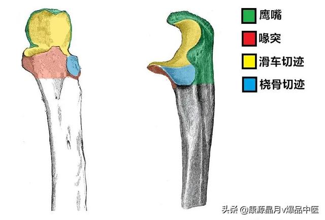 免费算命称骨论命周易骨格骨相