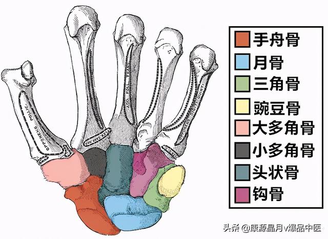 免费算命称骨论命周易骨格骨相