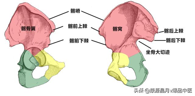 免费算命称骨论命周易骨格骨相