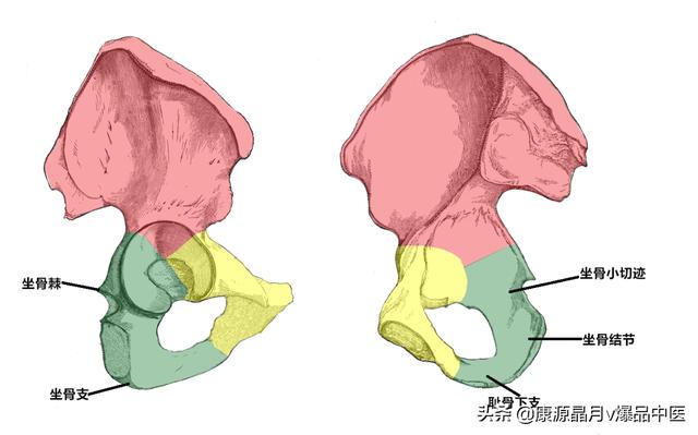 免费算命称骨论命周易骨格骨相