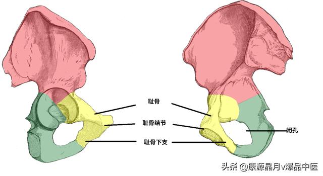 免费算命称骨论命周易骨格骨相