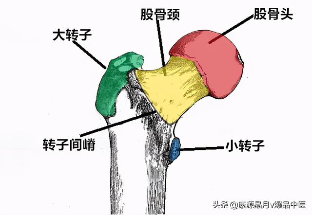 免费算命称骨论命周易骨格骨相