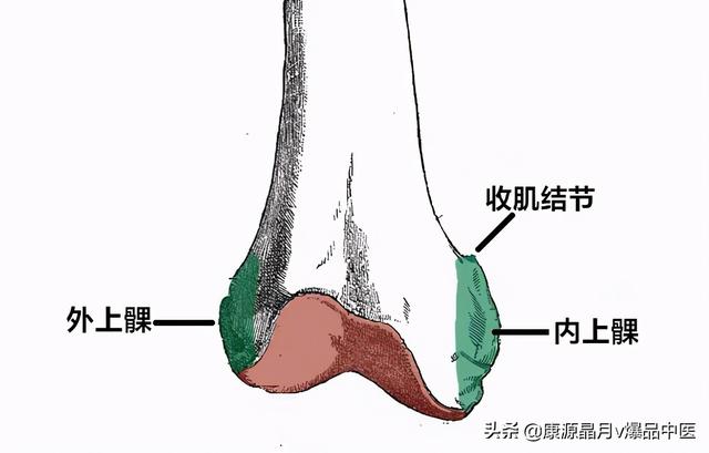 免费算命称骨论命周易骨格骨相