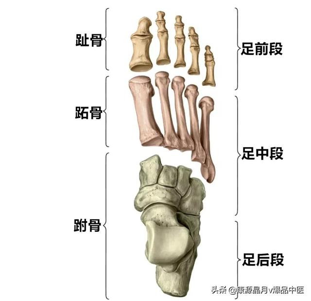 免费算命称骨论命周易骨格骨相