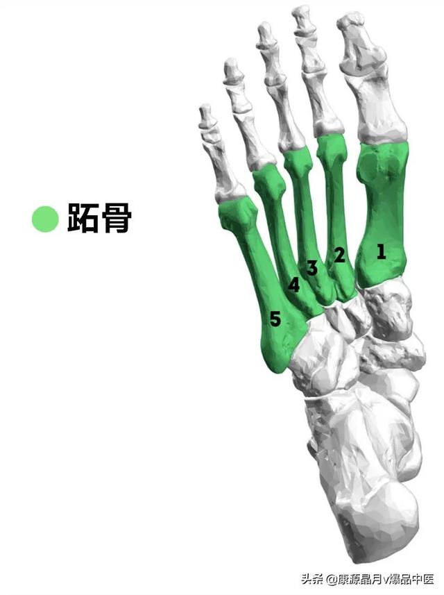 免费算命称骨论命周易骨格骨相