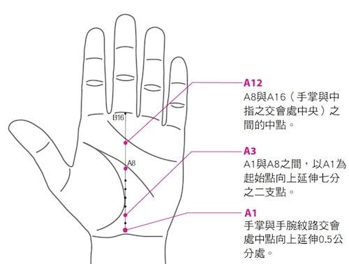 八字上四组上各代表身体哪个部位