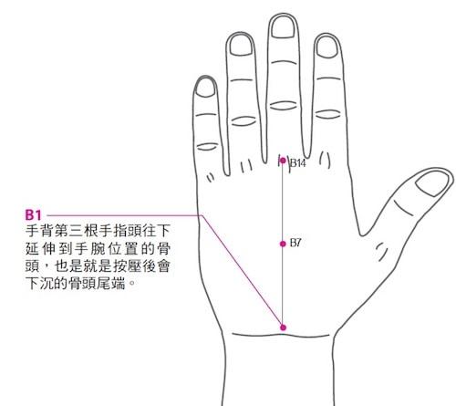 八字上四组上各代表身体哪个部位