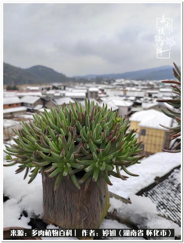 三月初三中午二点的八字是什么