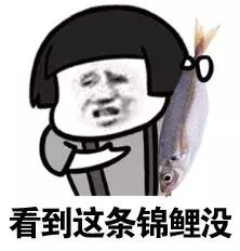 十二生运程免费查