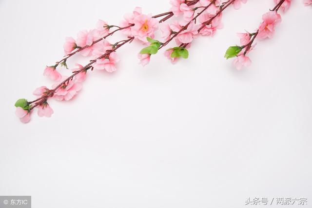 八字桃花不断