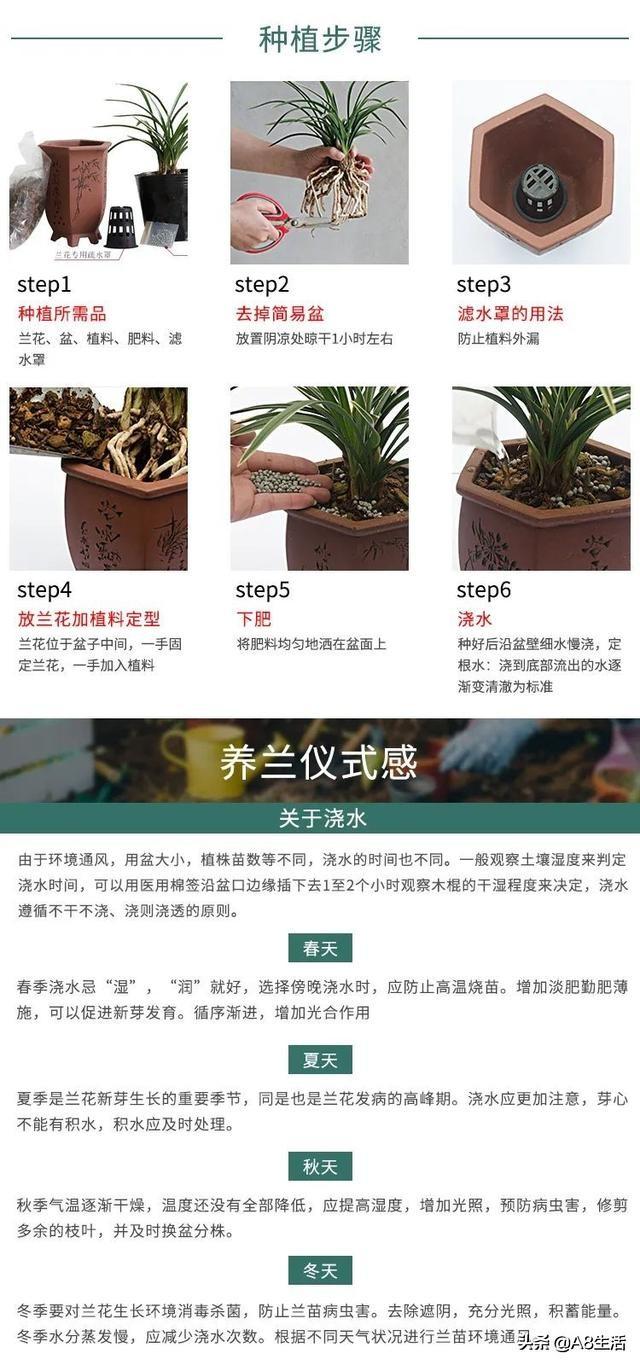 荷的品质八字