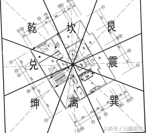 什么八字人大脑会受伤