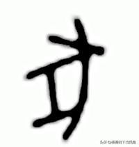 杨慎命理八字