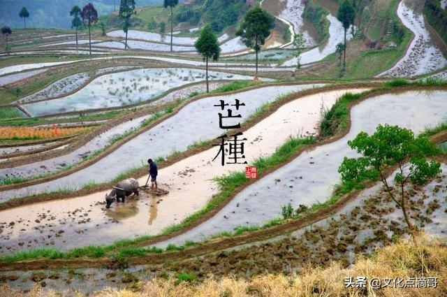 属牛的拜属猴的做干爹八字合不