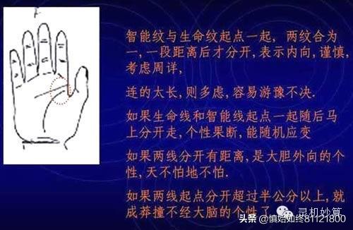 免费算命比较细的