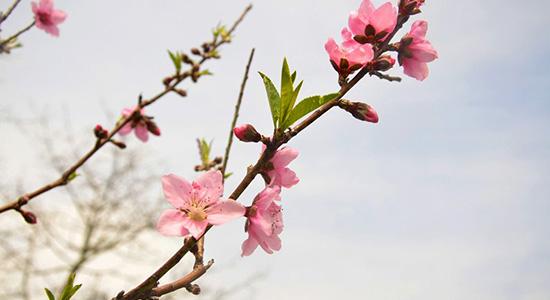 八字原局冲害需要流年大运引动