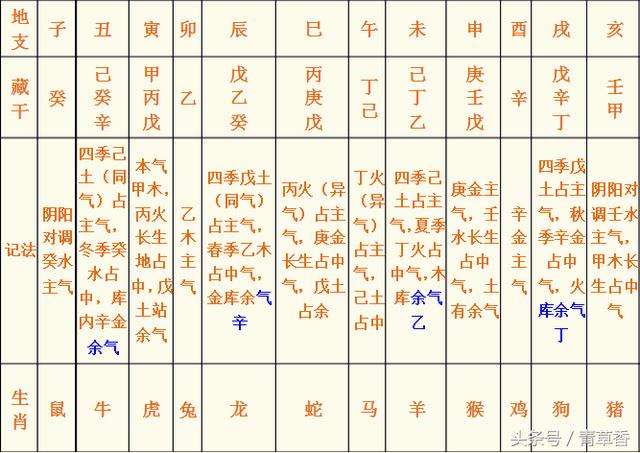 八字的地支是自己要去的方向吗 八字地支方位