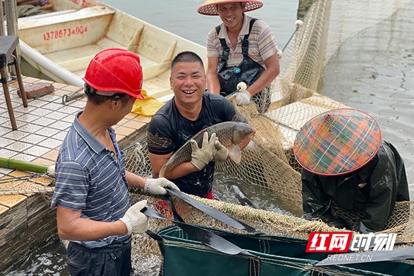 湖南省八字哨镇党委书记