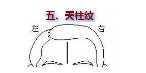 两眉间有八字纹是舍