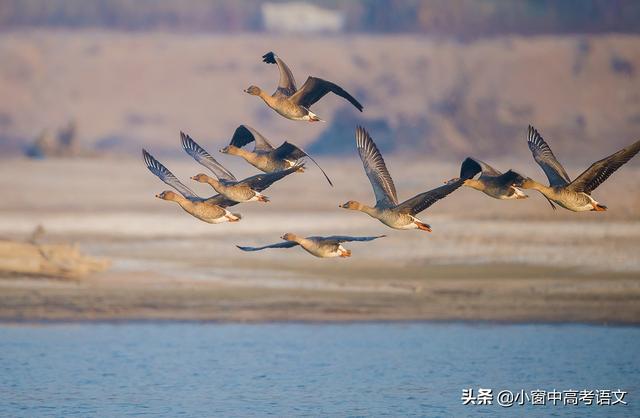 民俗生辰八字入门知识