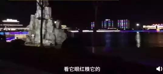 何娟周易免费八字算命