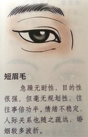 看相算命大全免费软眉毛 看相算命大全有图像