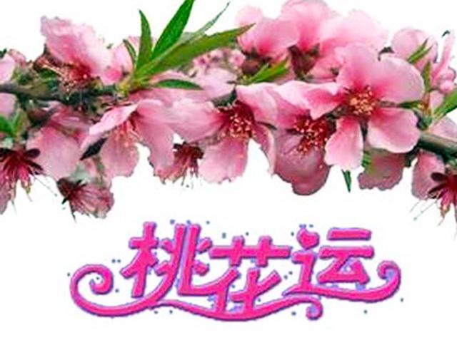 八字占两桃花