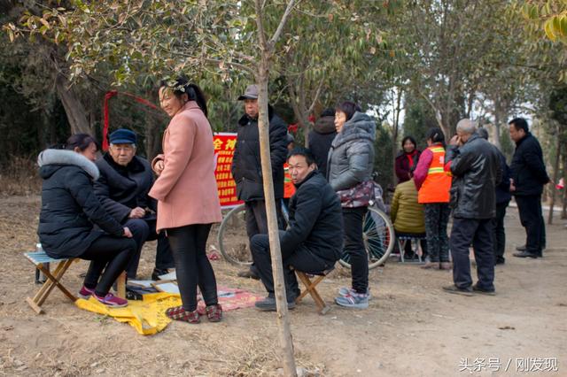 免费算命能否考上大学