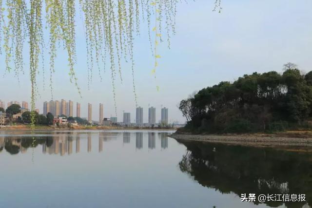 岳阳市八字门附近免费的野钓地点