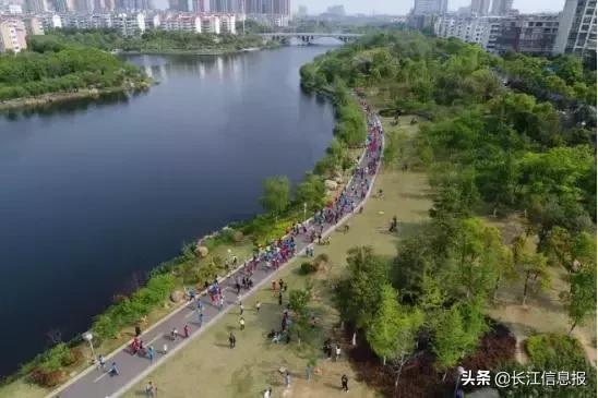 岳阳市八字门附近免费的野钓地点