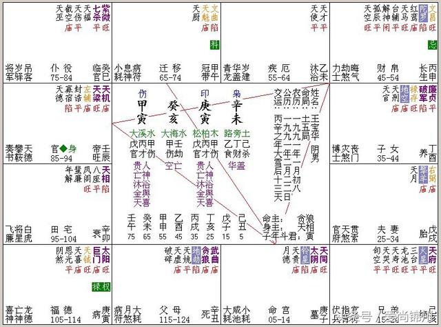 紫微星免费算命