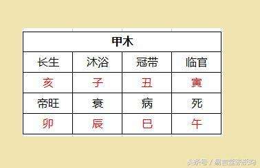 怎么知道自已四柱八字 四柱八字怎么学