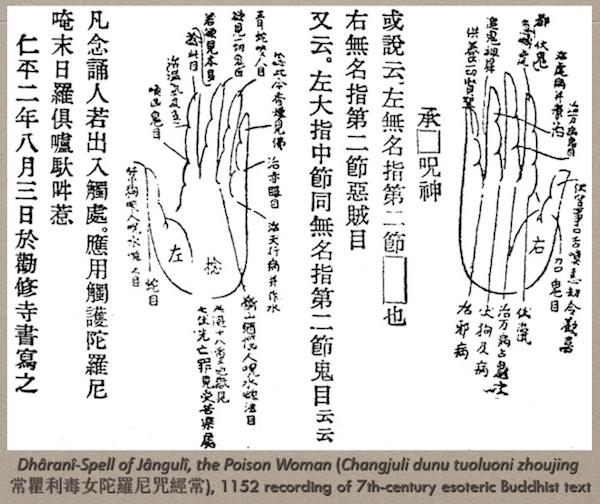 免费算命1972年阴历6月13日