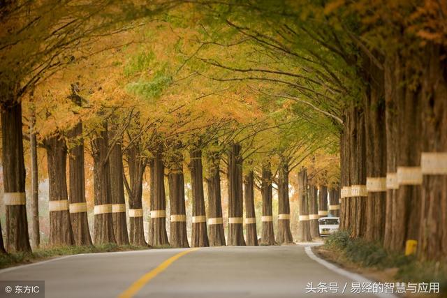 通过八字怎么知道跟对方要分手