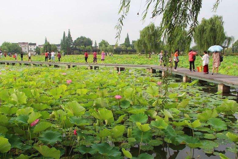 溧阳八字湿地公园 溧阳大溪湿地公园