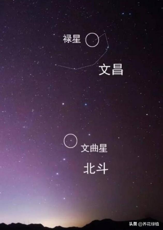 八字三逢文昌星