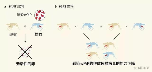 免费算命人生旺衰图图柱