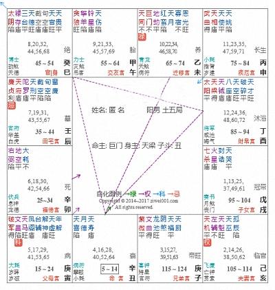 八字排盘软件免费版紫薇八字