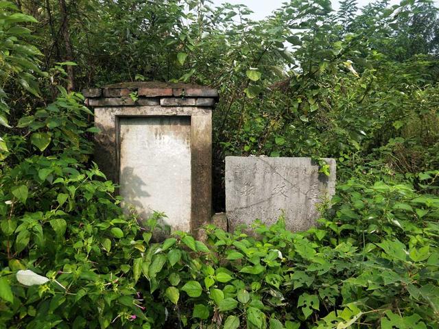 正道居士免费算命