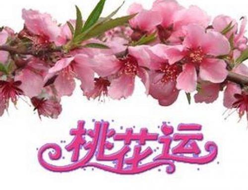 在线八字免费算桃花运分析