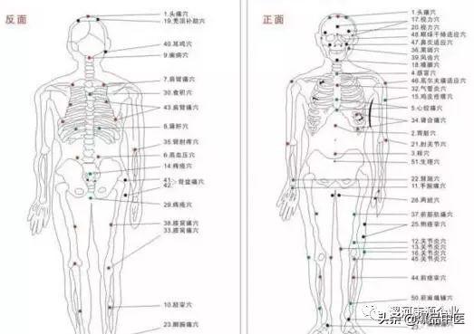 八字疗法的肛门对应点